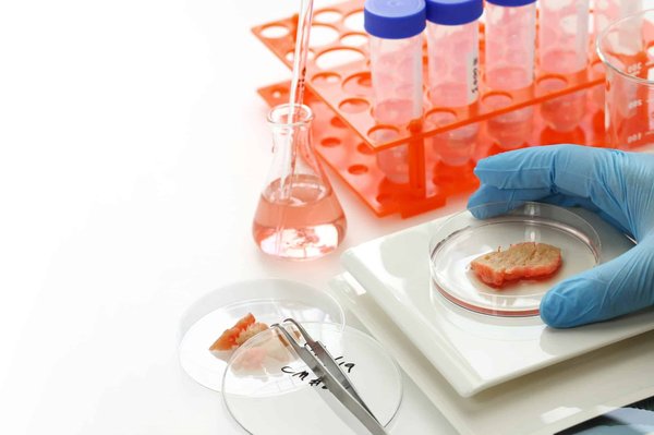 What Are the Prospects for Lab-Grown Meat in the UK's Culinary Scene?